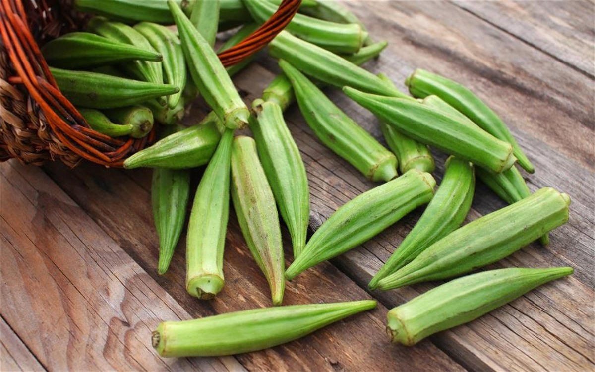 Σταμάτησε η καλλιέργεια Ελληνικής μπάμιας