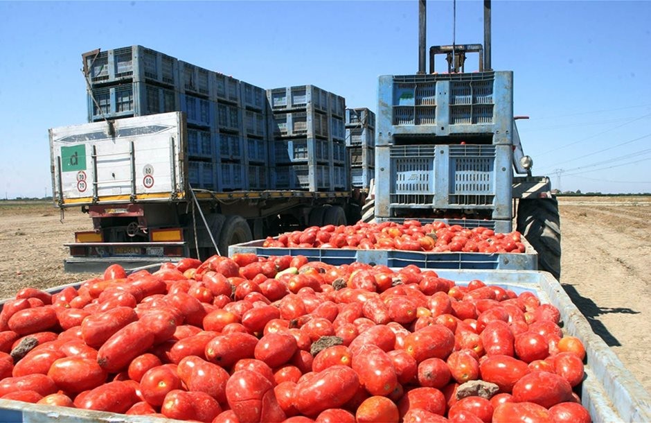 Αναβαθμίζεται η Καρδιτσιώτικη Damavand