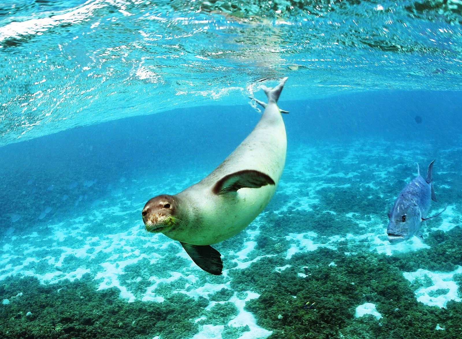 Κατακόρυφη αύξηση εσόδων στο Πάρκο Αλοννήσου