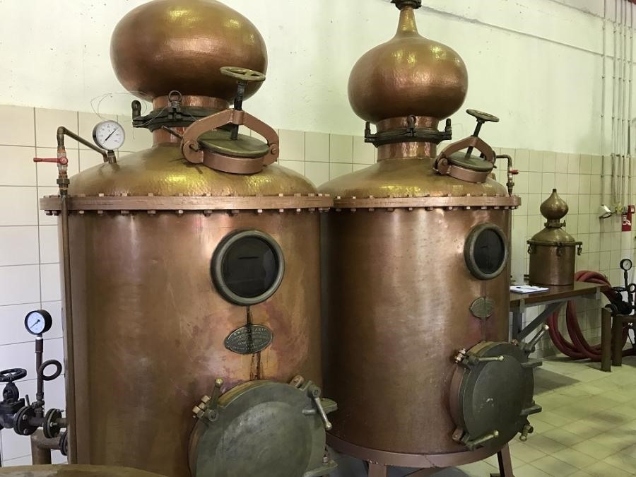 Εγκρίθηκε η επένδυση του "Πλωμαρίου" στον Τύρναβο