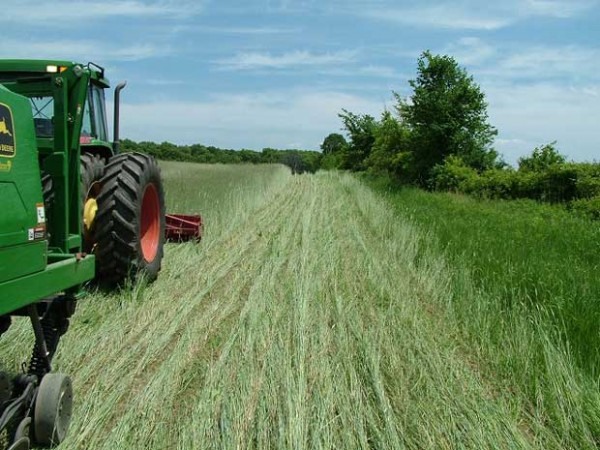Αγροτικό Τμήμα θα ιδρύσει το Επιμελητήριο Λάρισας