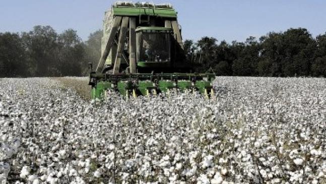 Η Καρδιτσιώτικη "Καφαντάρης - Παπακώστας" απαντά για την προσφυγή στο άρθρο 106β