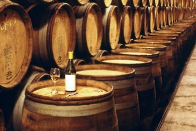 Ξανά πρόεδρος των μικροοινοποιών ο θεσσαλός Θάνος Ντούγκος