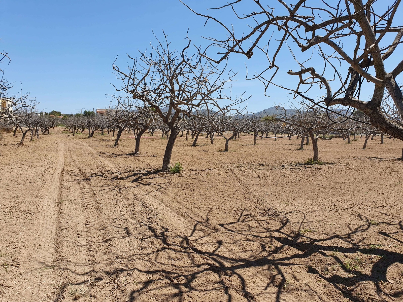 Στα 2,6 δισ. το ετήσιο κόστος της ξηρασίας για τη χώρα μας