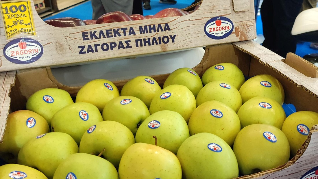 Ζαγορίν και Ένωση Βόλου στις "Συνεταιριστικές Εξαγωγές"