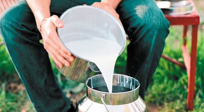 Μειώθηκε το αιγοπρόβειο γάλα στη Θεσσαλία