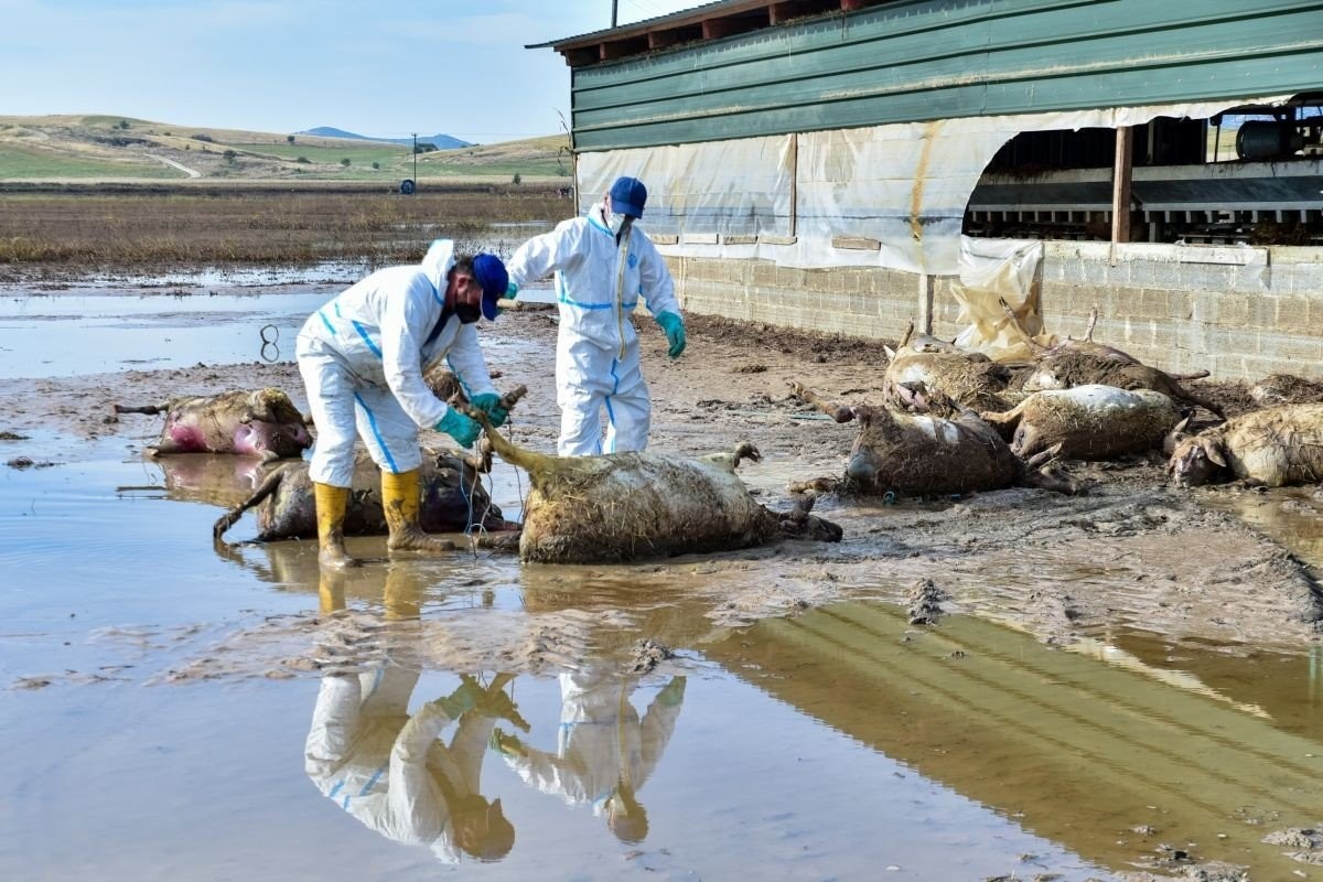 Θύματα της γραφειοκρατίας οι πλημμυρόπληκτοι της Θεσσαλίας