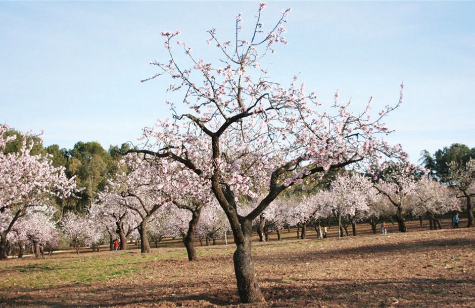 Ο ΕΛΓΑ αλλάζει σελίδα