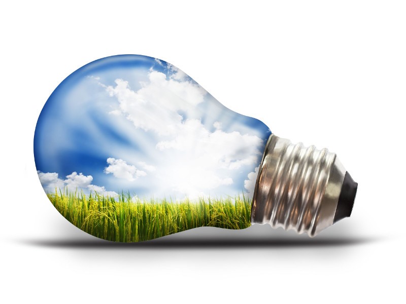 Επιταχυντής αγροτικής παραγωγής από το Επιμελητήριο Μαγνησίας