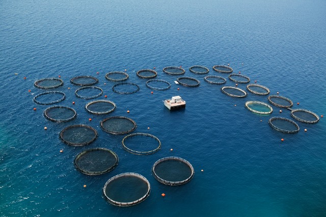 Biomar Hellenic: Οι Δανοί στέλνουν από τον Βόλο τροφή για ιχθυοκαλλιέργειες σε όλο τον κόσμο