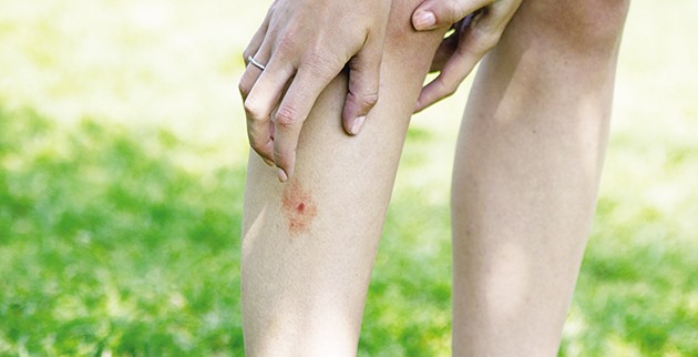 Εντομοαπωθητικό σε νέα μορφή μους