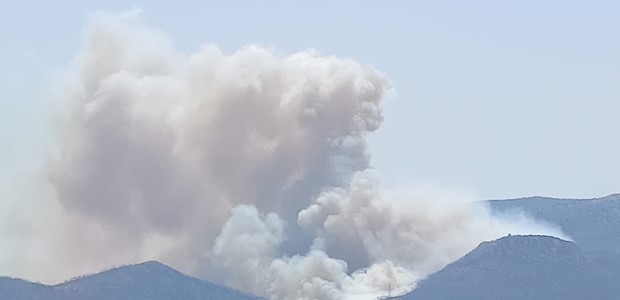 Συναγερμός για μεγάλη φωτιά στην Πάρνηθα 