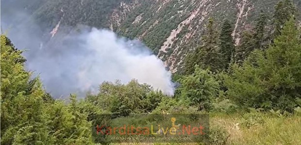 Δασική πυρκαγιά σε εξέλιξη