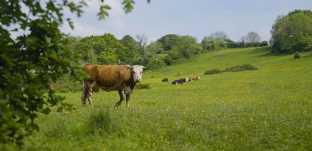 Πως ξετυλίχτηκε το κουβάρι του ΟΠΕΚΕΠΕ
