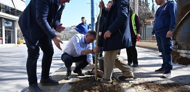 Φύτεψε πάνω από 100 δένδρα κατά μήκος της οδού Ιωαννίνων