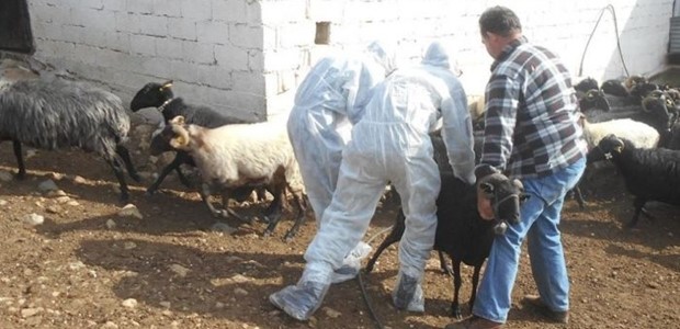 Χωρίς κρούσματα ευλογιάς στο δεύτερο μισό του Φεβρουαρίου