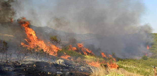 Λάρισα: Επί ποδός η Πυροσβεστική για φωτιά στην Αμφιθέα
