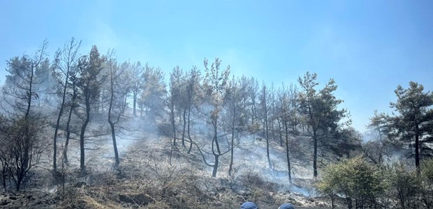 Υπό έλεγχο μεγάλη φωτιά στην Βρύση Τυρνάβου