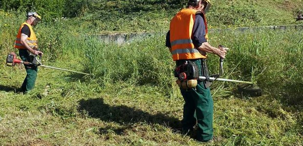 Τρίκαλα: Ηλεκτρονικά η δήλωση καθαρισμού οικοπέδων