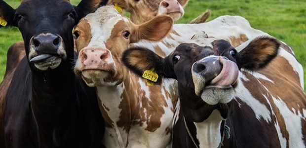 Επιδότηση 1.000.000 ευρώ σε Τρικαλινή οικογένεια