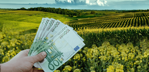Μέχρι 80 ευρώ το στρέμμα η de minimis στη μηδική 