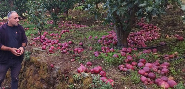 Η κλιματική αλλαγή απειλή για τις καλλιέργειες