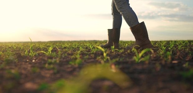 Πριν τις γιορτές η προκαταβολή αποζημιώσεων του 2025