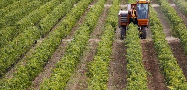 Η γραφειοκρατία παραμένει ο μεγαλύτερος αντίπαλος