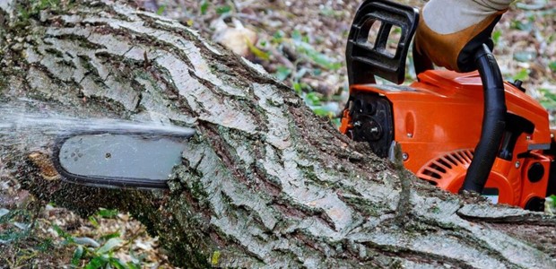 50χρονος νεκρός σε εργασία με αλυσοπρίονο