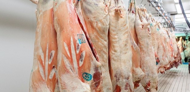 Εξαντλούνται με ταχείς ρυθμούς τα ντόπια αρνιά