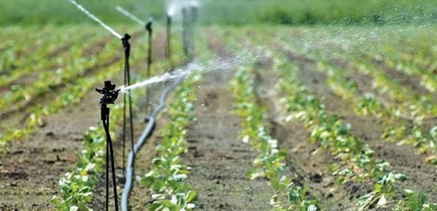 "Ξεραίνουν" τον κάμπο λειψυδρία και ανεπάρκεια άρδευσης 