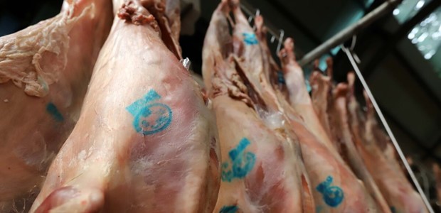 Προβληματισμός για την επάρκεια και τις τιμές των αμνοεριφίων