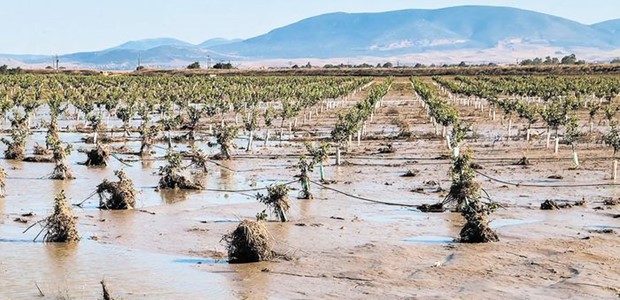 Έως 3 Ιουνίου oι δηλώσεις για αποζημιώσεις από Daniel, Εlias