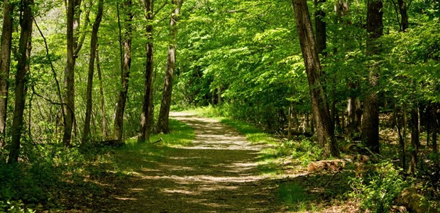 Aνάδειξη πεζοπορικών διαδρομών από το ΥΠΕΝ