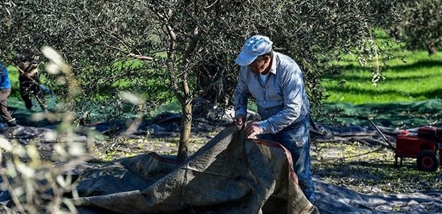 "Θα κάνουν χρόνια να συνέλθουν"