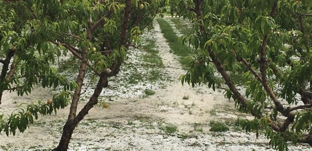 Επεκτείνεται η εναέρια αντιχαλαζική προστασία στα Φάρσαλα 