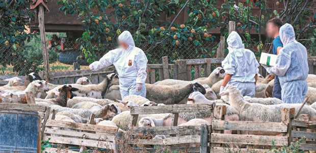 ΥΠΑΑΤ: 45 νέες προσλήψεις για την αντιμετώπιση της ευλογιάς