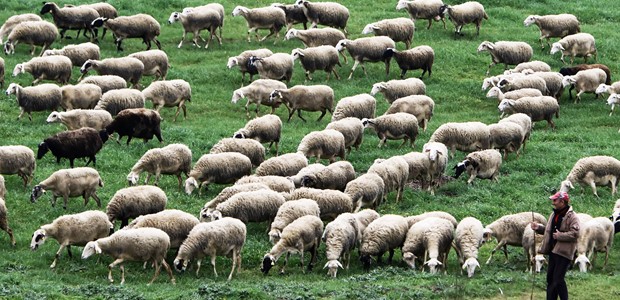 Μειώθηκε η μετάδοση, αναγκαία η επιφυλακή