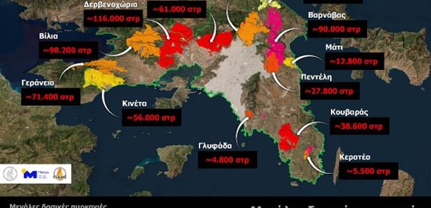 Το 37% των δασών κάηκε μέσα στα 8 τελευταία χρόνια