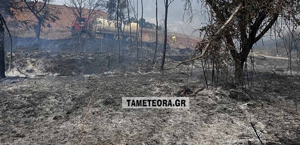 Μάχη με τις φλόγες έξω από την Καλαμπάκα (φωτο)