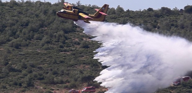 Πυρκαγιά σε χαμηλή βλάστηση στον Τύρναβο 