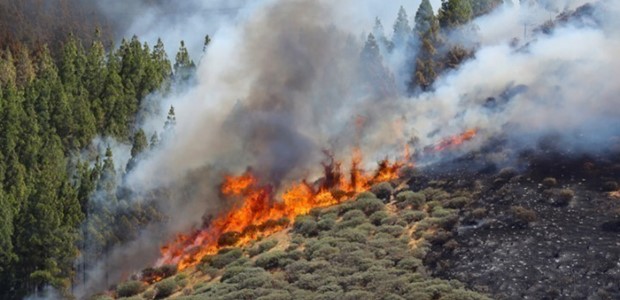 Φωτιά στον Όλυμπο, κινητοποιήθηκαν δύο ελικόπτερα