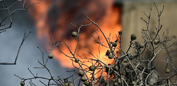 Φωτιά σε ποιμνιοστάσιο στο Λουτρό Λάρισας