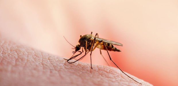 Κρούσμα λοίμωξης από τον ιό του Δυτικού Νείλου