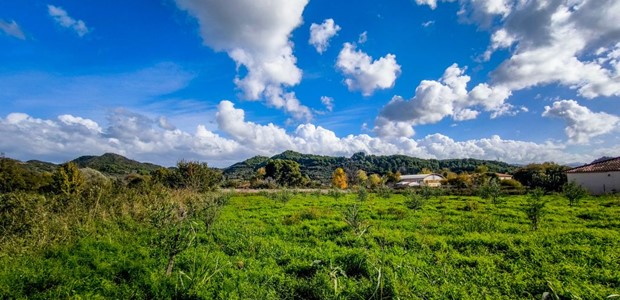 Ανοιξιάτικος σήμερα ο καιρός