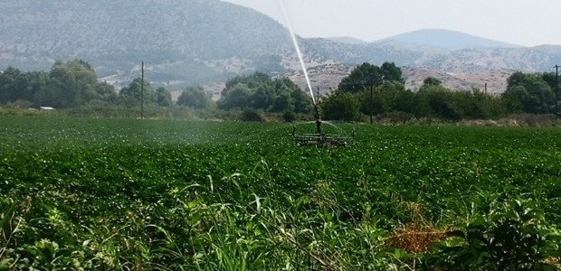 Κλιματική αλλαγή και παραγωγικότητα των εργαζομένων 