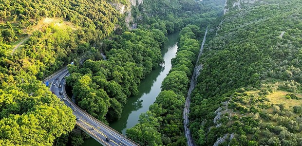 Η ασθένεια των πλατάνων έφτασε και στην κοιλάδα 