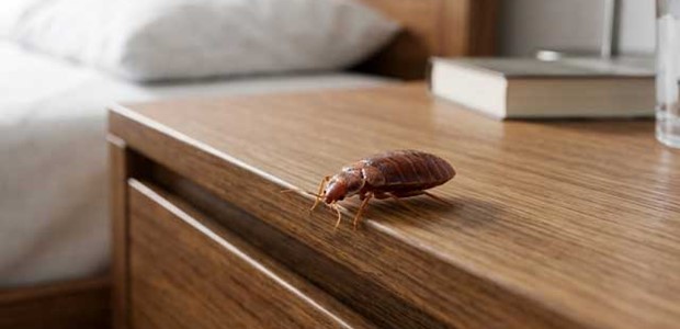 Πώς να απαγορεύσουμε στους Κοριούς να μπουν σπίτι