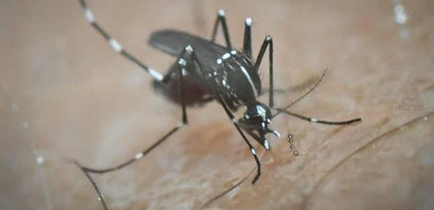 Σημαντική επιβάρυνση για τη Θεσσαλία με 29 κρούσματα