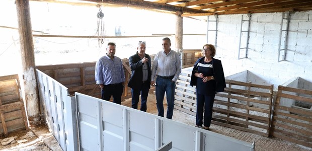 Πίεση για λύσεις σε ευλογιά και κτηνοτροφία